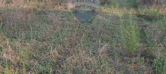  قطعة أرض في Caltagirone, Italy 3600متر مربع رقم 232611 5