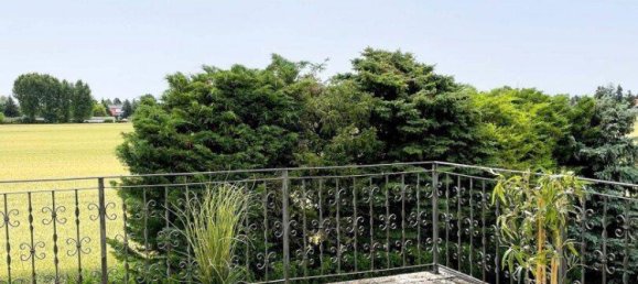 4 rooms House in Gross-Enzersdorf, Austria No. 159168 7