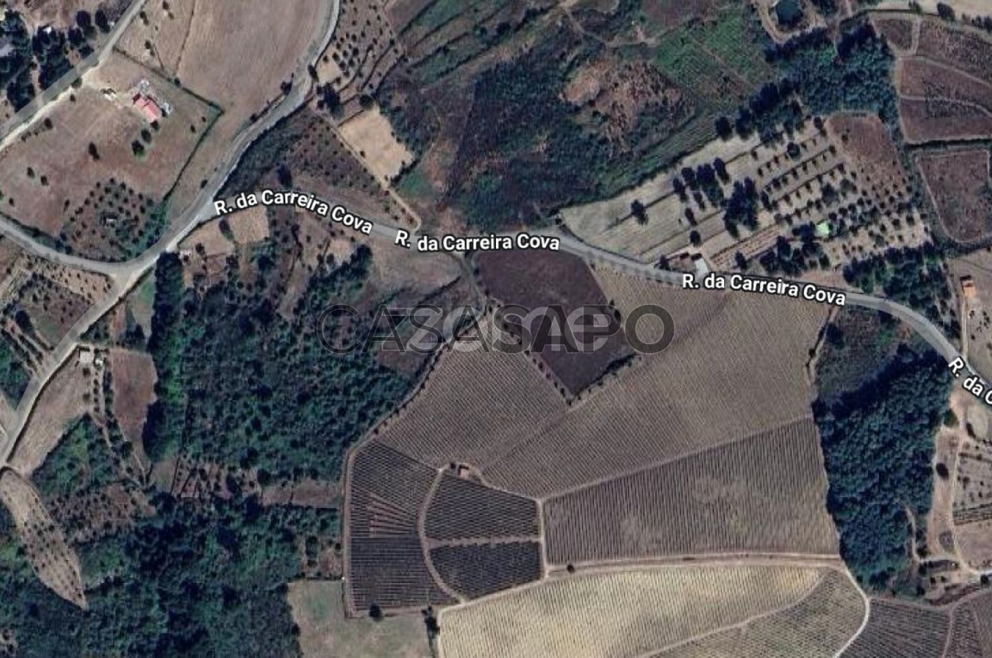  قطعة أرض في Sao Paio, Portugal رقم 271815