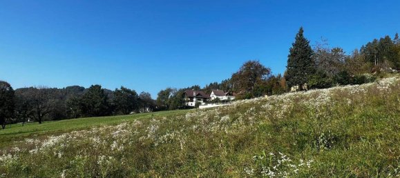  قطعة أرض في Kottmannsdorf, Austria رقم 40467 4