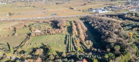 6غرفة فيلا في Foiano della Chiana, Italy رقم 73715 14