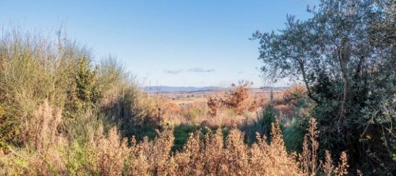 6غرفة فيلا في Foiano della Chiana, Italy رقم 73715 12