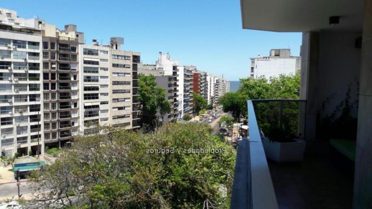 4 غرف نوم شقة في Montevideo, Uruguay رقم 9666
