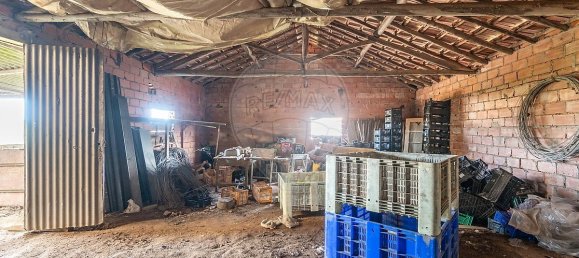 2 غرف نوم منزل في Lourinha, Portugal رقم 158395 23