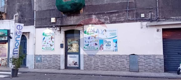 Коммерческая недвижимость с 2 спальнями в Катания, Италия № 234701 2