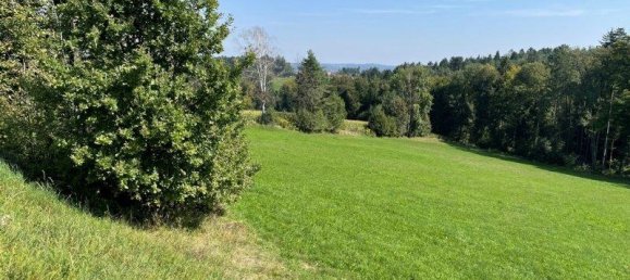 Terreno en Mooskirchen, Austria No. 55505 2