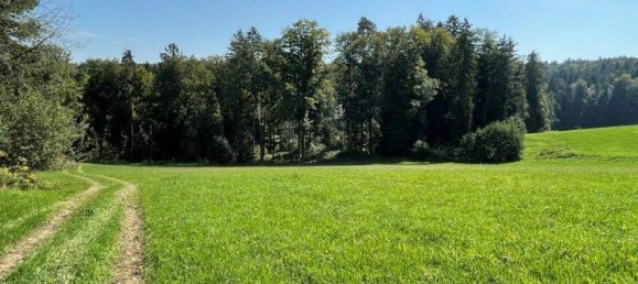 Terreno en Mooskirchen, Austria No. 55505 3