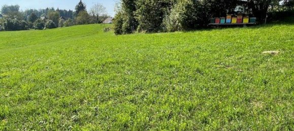 Terreno en Mooskirchen, Austria No. 55505 4