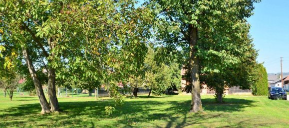 2 rooms House in Stadtschlaining, Austria No. 133298 22