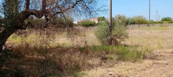 Земельный участок 5625м² в Сан Джорджо Йонико, Италия № 288888 3