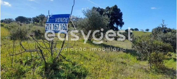 Grundstück in Castro Marim, Portugal 8520m², Nr. 42735 4