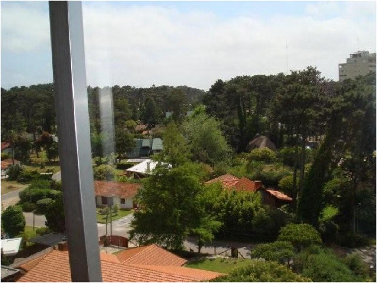 Estudio en Maldonado, Uruguay No. 11842