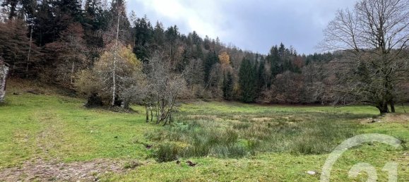 Terrain à Vosges, France 5150m² No. 319386 2