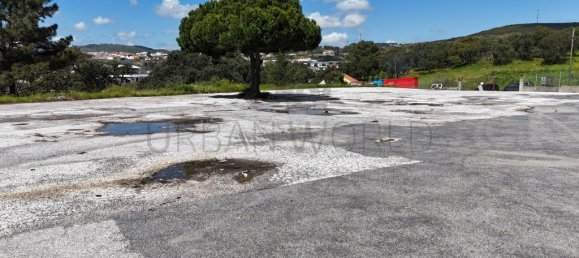 Lagerhaus in Loures, Portugal 2400m², Nr. 225236 27