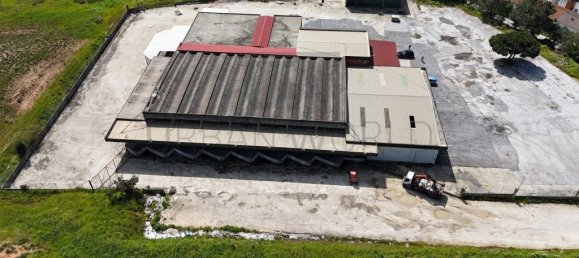 Lagerhaus in Loures, Portugal 2400m², Nr. 225236 19