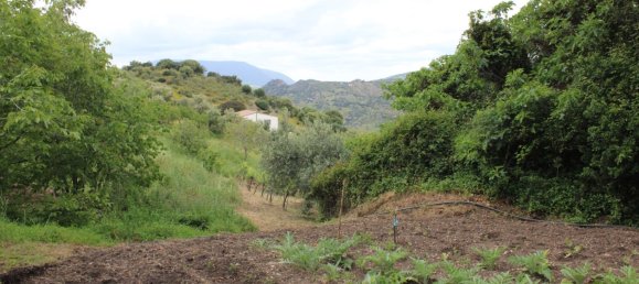 3 bedrooms House in Zahara, Spain No. 134978 4