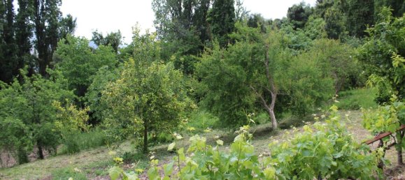 3 bedrooms House in Zahara, Spain No. 134978 46