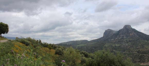 3 bedrooms House in Zahara, Spain No. 134978 28