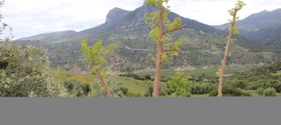 3 bedrooms House in Zahara, Spain No. 134978 75