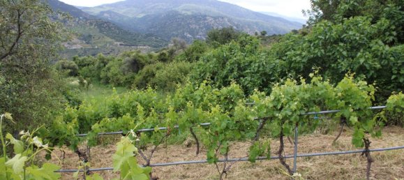 3 bedrooms House in Zahara, Spain No. 134978 52