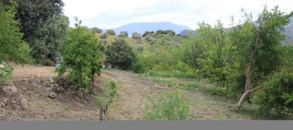 3 bedrooms House in Zahara, Spain No. 134978 35