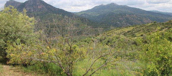 3 bedrooms House in Zahara, Spain No. 134978 10