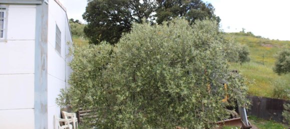 3 bedrooms House in Zahara, Spain No. 134978 82