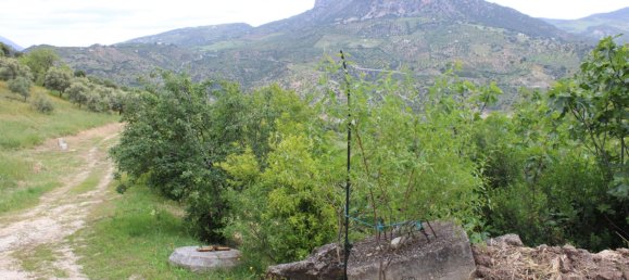 3 bedrooms House in Zahara, Spain No. 134978 39