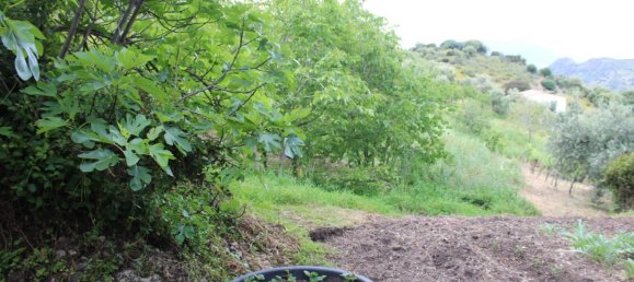 3 bedrooms House in Zahara, Spain No. 134978 38