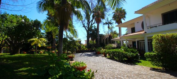 7 bedrooms House in Funchal, Portugal No. 84783 10