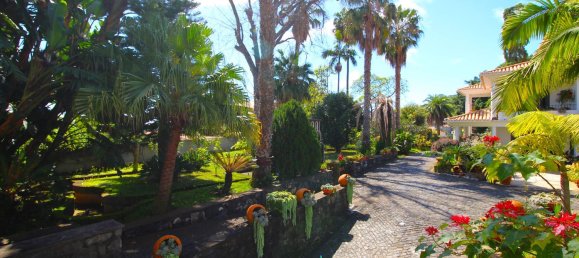 7 bedrooms House in Funchal, Portugal No. 84783 15