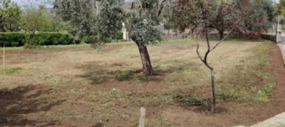 4000m² Land in Velletri, Italy No. 286719 2