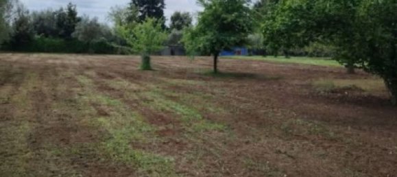 4000m² Land in Velletri, Italy No. 286719 9