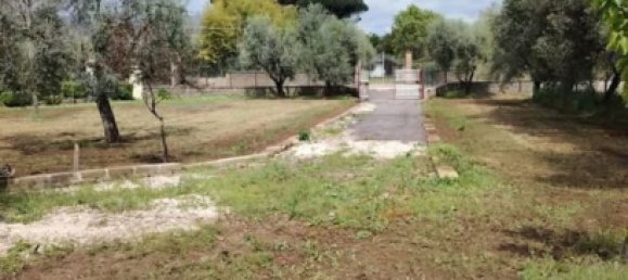 4000m² Land in Velletri, Italy No. 286719 8