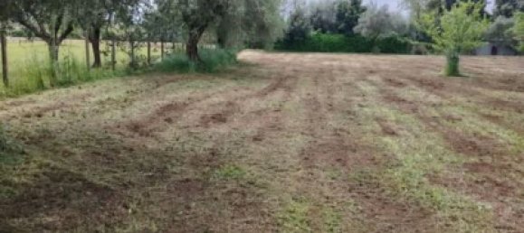 4000m² Land in Velletri, Italy No. 286719 7