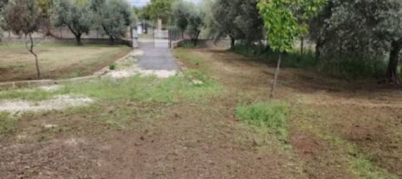 4000m² Land in Velletri, Italy No. 286719 3