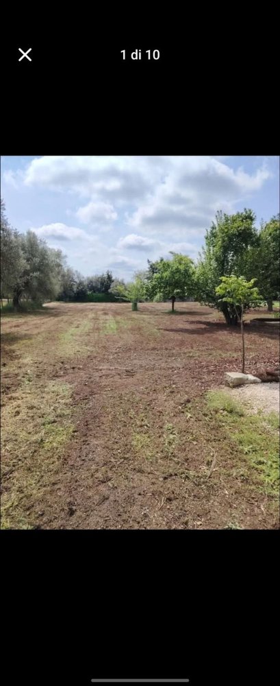 4000m² Land in Velletri, Italy No. 286719