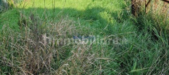 2 rooms House in Carrè, Italy No. 370411 8