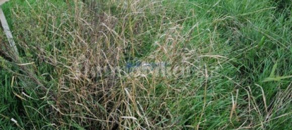 2 rooms House in Carrè, Italy No. 370411 7