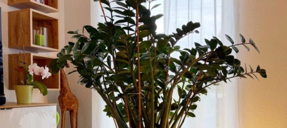 3 bedrooms Apartment in Rems-Murr-Kreis, Germany No. 245001 8