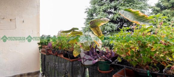 3 bedrooms Apartment in Valsamoggia, Italy No. 52629 7