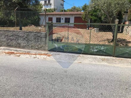  Land in Canas de Senhorim, Portugal No. 52085