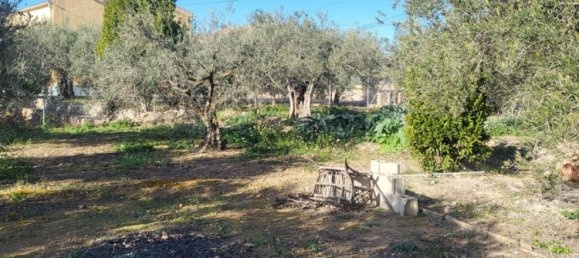 6 Schlafzimmer Haus in Hellin, Spain, Nr. 113955 4