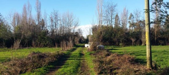  Land in Maule, Chile No. 777 2