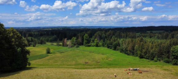 8-Zimmer Haus in Bad Tölz-Wolfratshausen, Germany, Nr. 125259 6