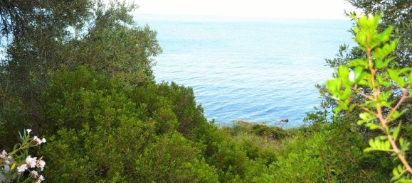 4 bedrooms Commercial property in Corfu, Greece No. 6689 30