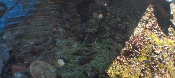 Casa T6 em Arsiè, Italy N.º 336378 22