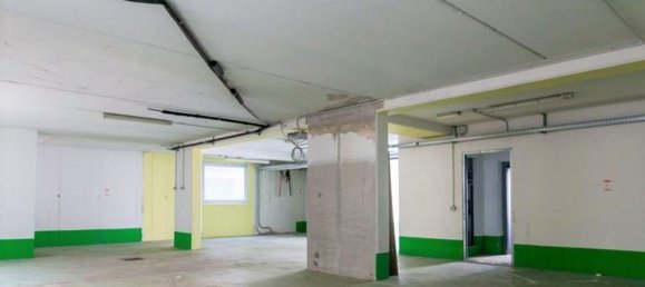 Propriété commerciale à Castel Guelfo di Bologna, Italy 485m² No. 375071 11
