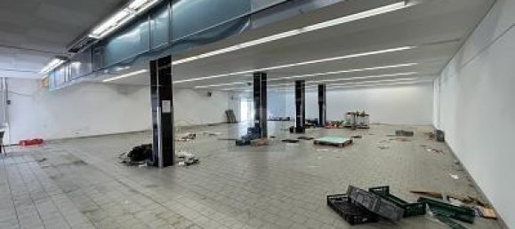 5غرفة عقار تجاري في Lorrach, Germany رقم 296053 3