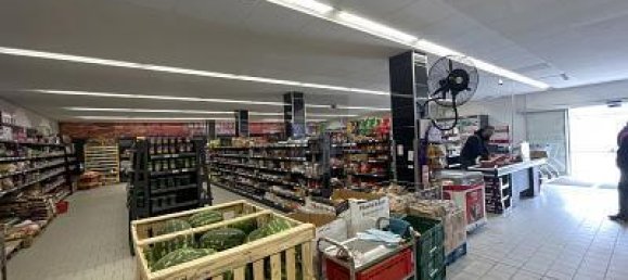 5غرفة عقار تجاري في Lorrach, Germany رقم 296053 4